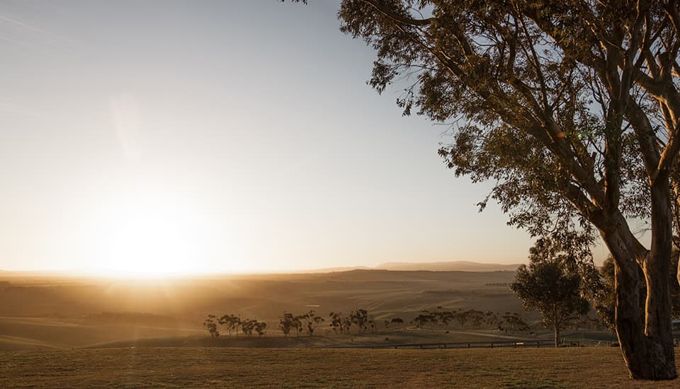 Marnong Estate